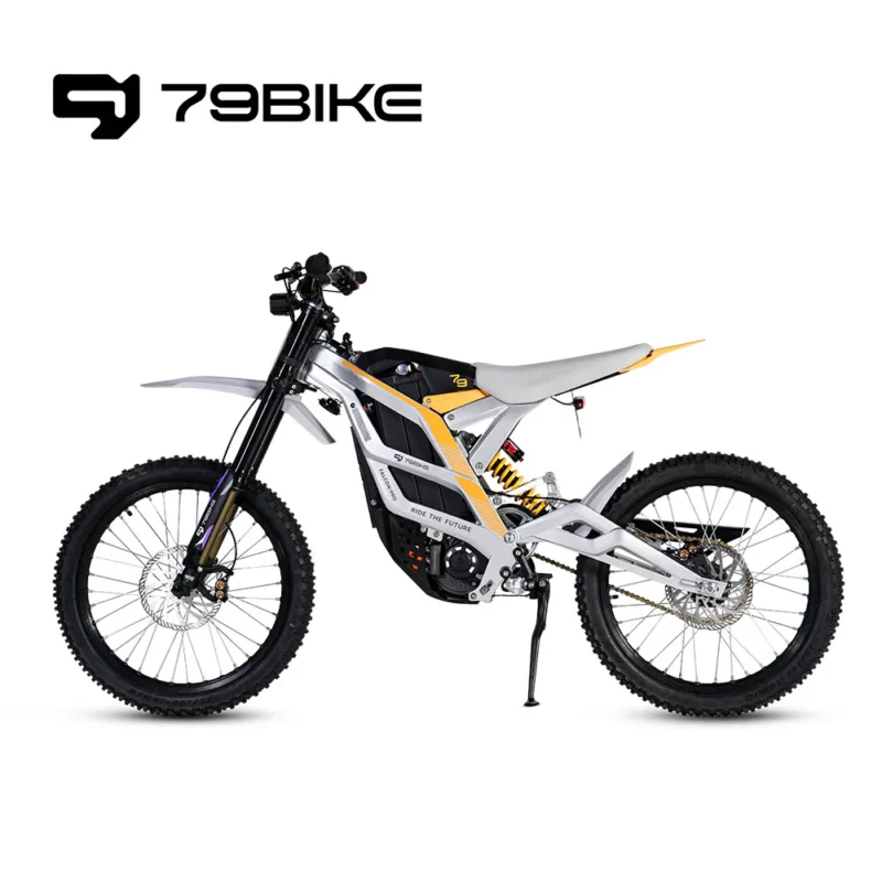 79BIKE Falcon-pro Electric Off-road Motorcycle